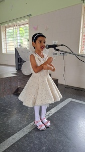 Fancy Dress Competition (1)