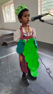 Fancy Dress Competition (108)