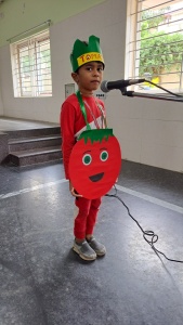 Fancy Dress Competition (114)
