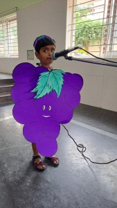 Fancy Dress Competition (115)