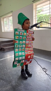 Fancy Dress Competition (121)