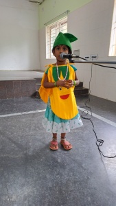 Fancy Dress Competition (125)