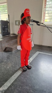 Fancy Dress Competition (127)