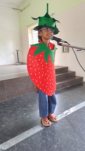 Fancy Dress Competition (25)