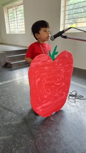 Fancy Dress Competition (45)