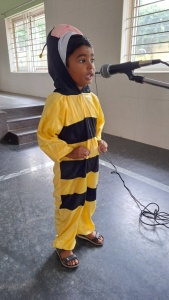 Fancy Dress Competition (46)
