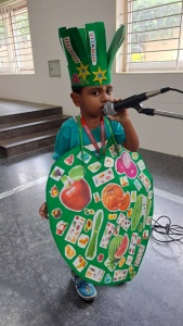 Fancy Dress Competition (47)