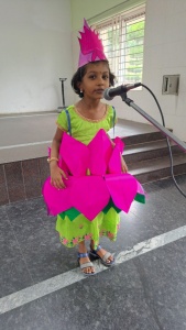 Fancy Dress Competition (63)