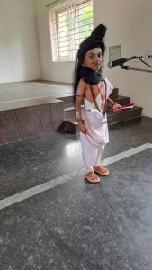 Fancy Dress Competition (73)