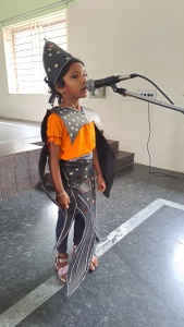 Fancy Dress Competition (8)