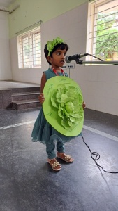Fancy Dress Competition (82)