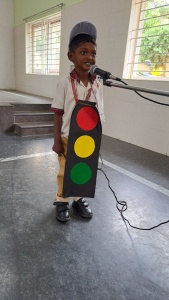 Fancy Dress Competition (85)