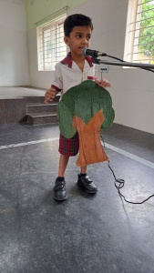 Fancy Dress Competition (92)