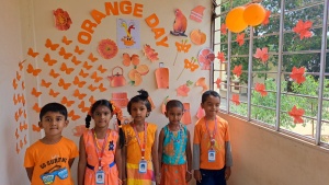 Orange Day (1)