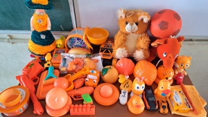 Orange Day (6)