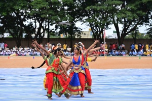 Annual Sports Meet (46)