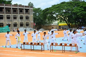 Annual Sports Meet (63)