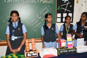 Science Expo (12)