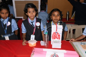 Science Expo (20)