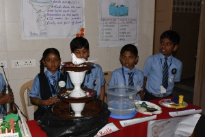 Science Expo (22)