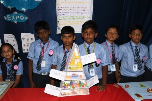 Science Expo (24)