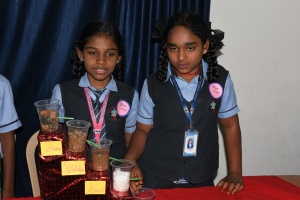 Science Expo (25)