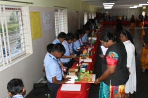Science Expo (39)