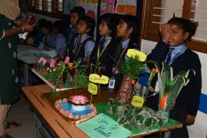 Science Expo (55)