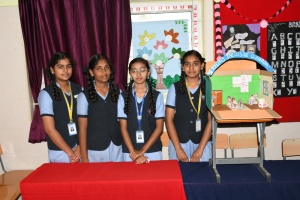 Science Expo (8)