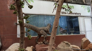 Jollywood Trip Photos (GRADE 9 & 10) (12)