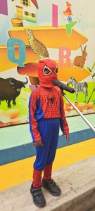 LKG Fancy Dress (11)