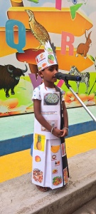 LKG Fancy Dress (12)
