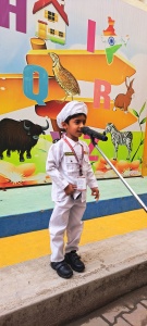 LKG Fancy Dress (15)