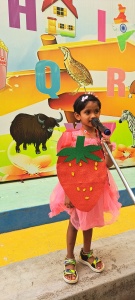 LKG Fancy Dress (19)