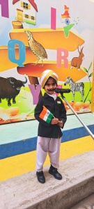 LKG Fancy Dress (20)