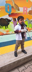 LKG Fancy Dress (22)