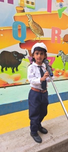 LKG Fancy Dress (23)
