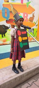 LKG Fancy Dress (3)