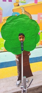 LKG Fancy Dress (30)