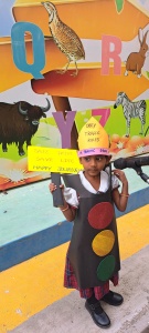 LKG Fancy Dress (35)