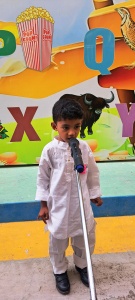 LKG Fancy Dress (37)