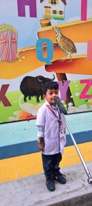 LKG Fancy Dress (43)