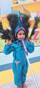 LKG Fancy Dress (50)