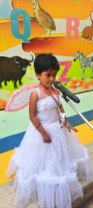 LKG Fancy Dress (55)