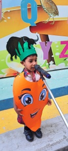 LKG Fancy Dress (59)