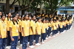 STJ_6539