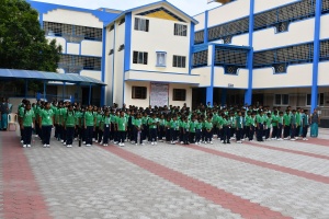 STJ_6540