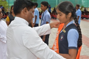 STJ_6583
