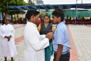 STJ_6591