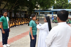 STJ_6619